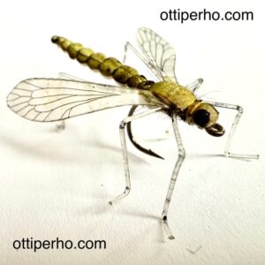 Vaaksiainen eli Daddy Long Leg on yksi kautta aikojen parhaista pintaperhoista. Vaaksiaisia pörrää pohjoisen virtapaikoilla lähes koko kauden. Se on myös varsin kömpelehkö lentäjä ja siksi ajautuu vedenkalvolle helpolla.